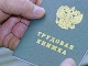 Замминистра Александр Сафонов: Трудовые книжки могут быть отменены в 2012 году