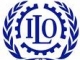 Итоги года: ратификация конвенций Международной организации труда и других международных актов