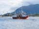 Вопросы охраны труда на предприятиях рыбной отрасли и морского транспорта обсудили на Камчатке